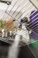 KARCHER Power Brush Set Sc Serisi Uyumlu